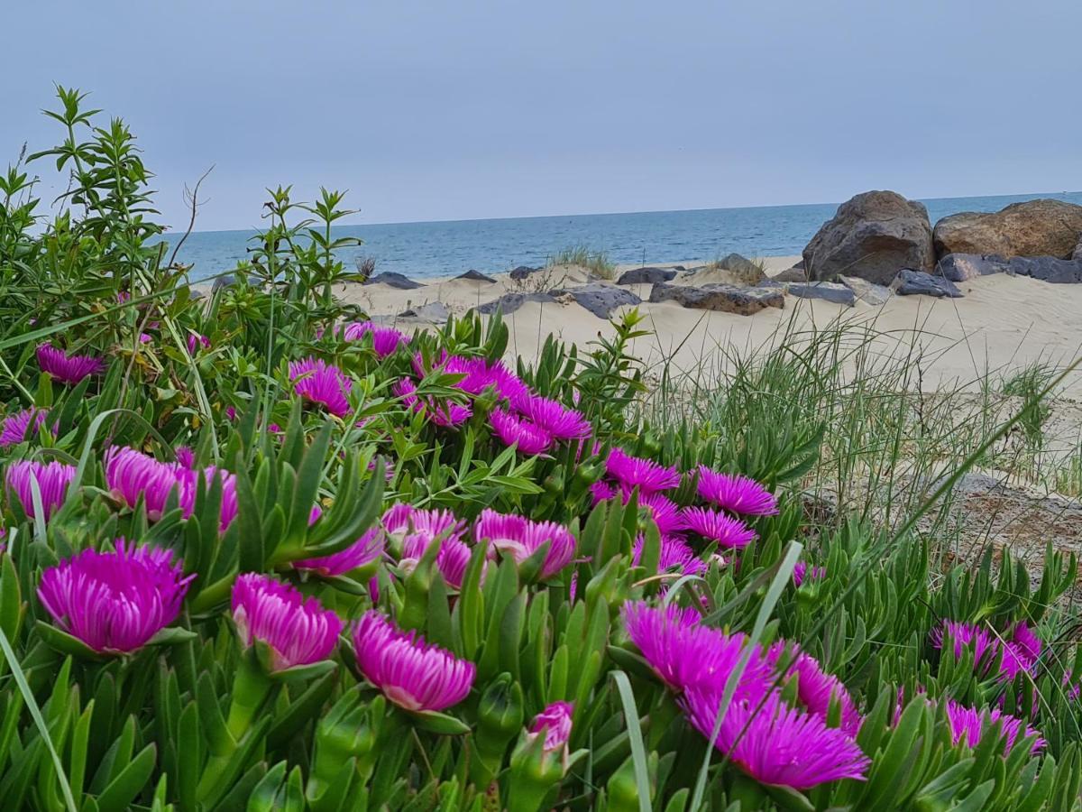 Camping Les Sables D'Or Cap D'Agde Le Grau-d'Agde Bagian luar foto
